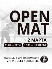 Тренировка Open Mat