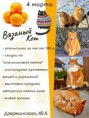 День апельсиновых котов