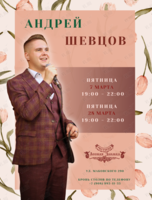 Музыкальные вечера. Андрей Шевцов (вокал)