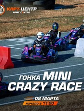 Гонка Mini Crazy Race