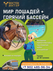 Экскурсия «Мир лошадей + горячий бассейн»