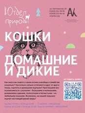 Спецкурс «Кошки домашние и дикие»