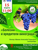 Занятие в клубе "Садовод" на тему "Болезни и вредители винограда"