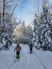 Лыжная прогулка на ручей Авральный