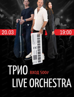 Трио Live orchestra