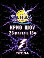 Тесла и крио шоу для детей
