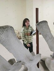 Занятие «Истории на позвонках»