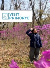 Тур «Рододендроны острова Русский»