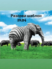 Встреча в формате мастермайнда "Разорви шаблон"