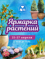 Весенняя ярмарка растений