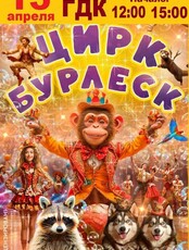 Супер-шоу от иркутского цирка "Бурлеск"