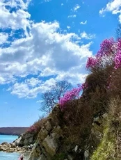 Джип-тур «Мыс Гамова»