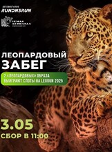 Леопардовый забег