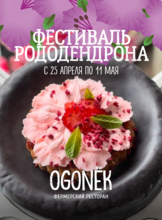 Фестиваль Рододендрона в Огоньке