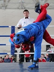 Межрегиональный фестиваль по рукопашному бою "Лига победителей"