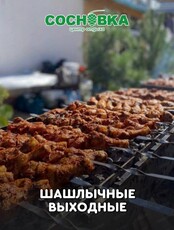 Шашлычные выходные