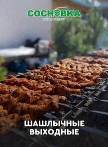2025-04-21 00:00:00 в Сосновка Шашлычные выходные