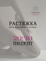 Занятия по растяжке