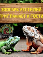 Экскурсия в зоопарк рептилий