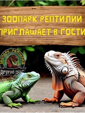 Экскурсия в зоопарк рептилий
