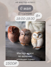 Мастер-класс по валянию из шерсти «Спящая сова»