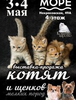 Выставка-продажа котят и щенков