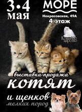 Выставка-продажа котят и щенков