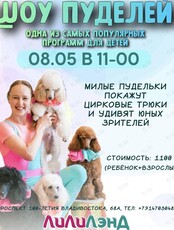 Шоу пуделей