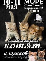 Выставка-продажа котят и щенков