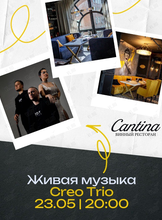 Вечер живой музыки. Creo Trio