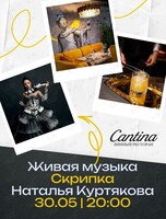 Вечер живой музыки. Наталья Куртякова