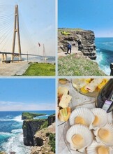 Экскурсия на Русский остров 3 в 1