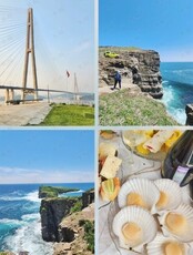 Экскурсия на Русский остров 3 в 1