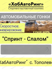 Соревнования по спринт-слалому на Кубок мэра