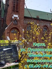 Воскресный социальный проект DankeShop