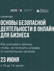 Семинар Екатерины Хансон «Основы безопасной деятельности в Интернете для бизнеса»