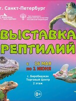 Выставка рептилий