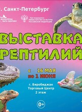 Выставка рептилий