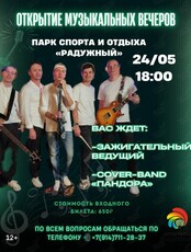 Открытие музыкальных вечеров. Группа «Пандора»