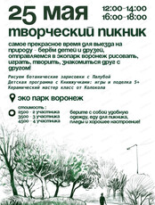 Творческий пикник