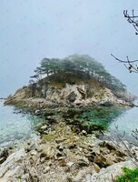 Тур «Полуостров Гамова»