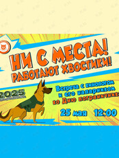 Встреча с кинологом и его напарником «Ни с места! Работают хвостики!»