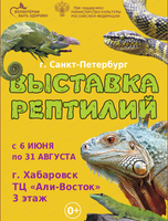 Выставка пауков и рептилий