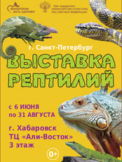 Выставка пауков и рептилий
