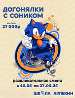 Летние каникулы "Догонялки с Соником"