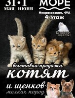 Выставка-продажа котят и щенков