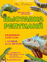 Выставка рептилий