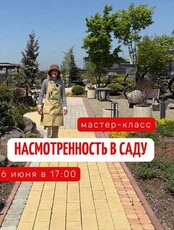 Мастер-класс «Насмотренность в саду»