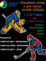 Кубок города по хоккею