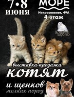 Выставка-продажа котят и щенков